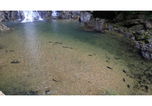 sriphang-nga-waterfall-768x431